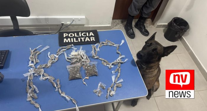 Com ajuda do Cão Moisés, PM apreende drogas em operação no bairro Ponte, em São Mateus