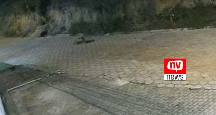 Idosa é “engolida” por buraco em rua de São Mateus, no Espírito Santo