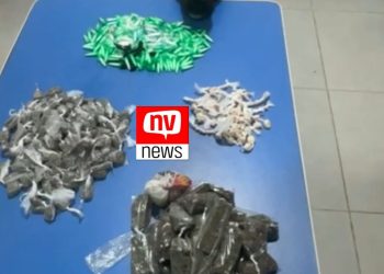 PM apreende drogas durante operação no bairro Porto, com ação direta do Cão Moisés