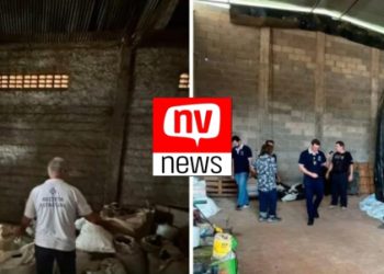 Polícia apreende quase 90 toneladas de pimenta e 250 sacas de café em Jaguaré e São Mateus ES