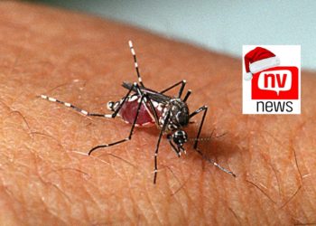 Prefeitura alerta para período de reprodução do mosquito da dengue em Jaguaré
