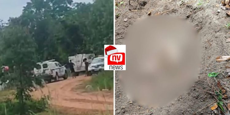 Corpo é encontrado enterrado em cova rasa em área de mata em São Mateus