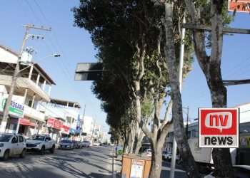 Prefeitura de Jaguaré incentiva população a cuidar das árvores na Av. 09 de Agosto