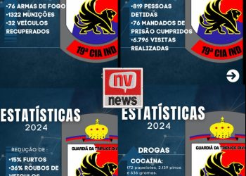 Segurança em Alta: 19ª Cia da PMES e Delegacias de Pinheiros e Montanha batem recordes em 2024