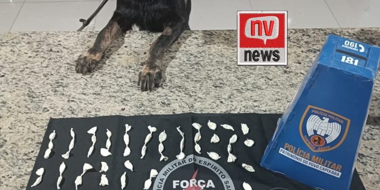 Ação conjunta da Força Tática e K9 resulta na apreensão de cocaína em Barra de São Francisco