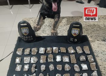 Cheiro de Problema: Cadela Athena fareja grande quantidade de crack em Barra de São Francisco