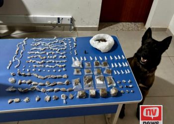 Cão farejador Moisés ajuda polícia a a prender drogas e munição no bairro Aroeira, em São Mateus