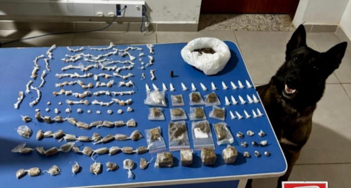 Cão farejador Moisés ajuda polícia a a prender drogas e munição no bairro Aroeira, em São Mateus