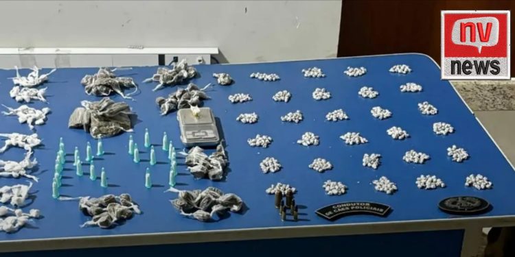 Megaapreensão de Drogas em Pedro Canário: Cão Moisés localiza entorpecentes e munições no “Gogó do Sapo”