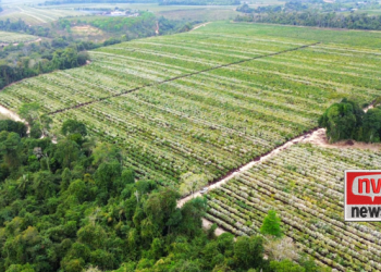 Agroturismo é aposta de expansão econômica em Jaguaré