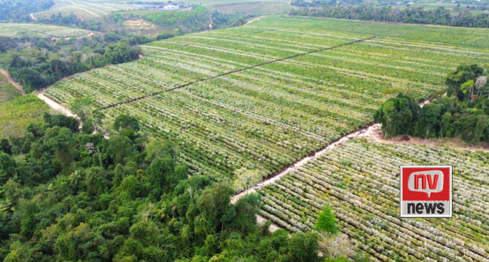 Agroturismo é aposta de expansão econômica em Jaguaré