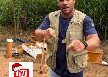 Escândalo: Prefeitura de São Gabriel da Palha é condenada por superfaturar contrato e fraudar licitações