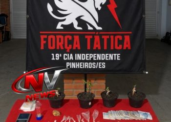 Força Tática em Ação: Suspeito é Preso com Crack, Dinheiro e Mudas de Maconha no Bairro Domiciano, em Pinheiros