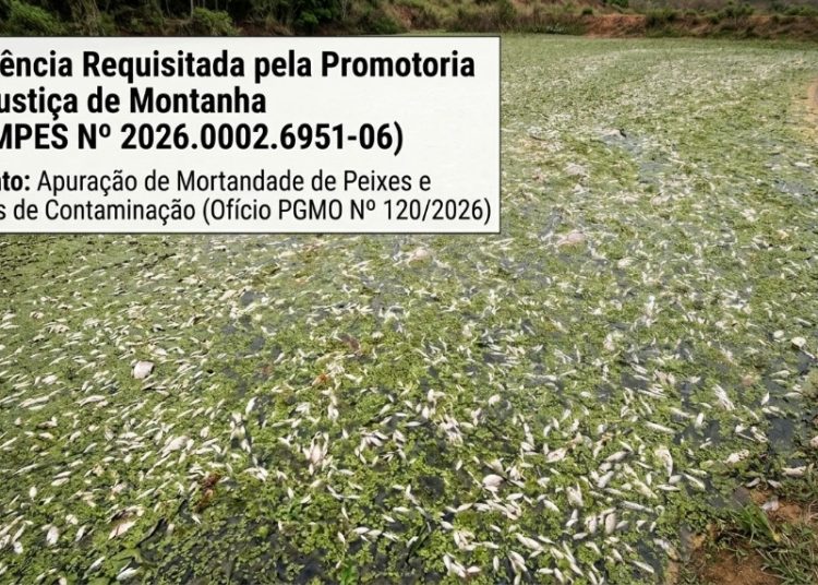 MPES cobra providências urgentes após mortandade de peixes em represa próxima à Damare, em Montanha